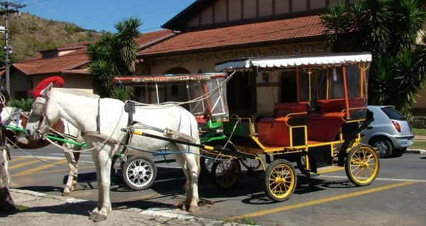 charrete Poços de Caldas