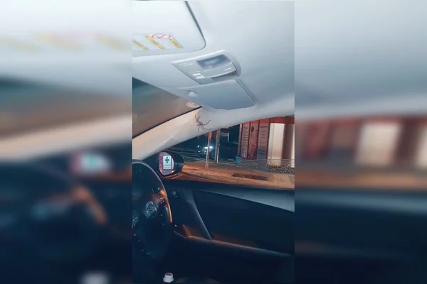 Mulher encontra aranha gigante dentro de carro; vídeo