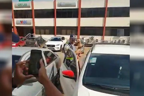 PM resgata cachorro preso em carro em estacionamento na Asa Sul