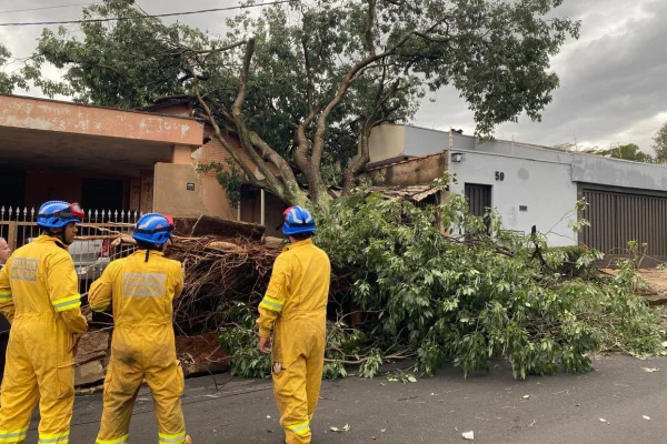 O temporal provocou destelhamentos, queda de árvores, falta de energia e deixou Ribeirão Preto com 319 raios registrados até sábado (25/7) - Metrópoles
