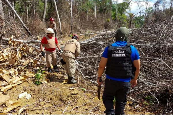 Câmara aprova PL que barra uso de embargos em fiscalizações ambientais