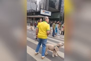 Homem que atacou o "Porquinho da Paulista" com um garfo na manifestação de 7 de Setembro