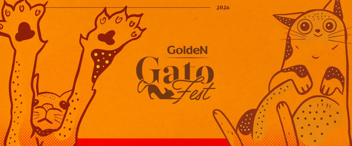 GatoFest GatoFest