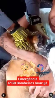 Cachorra é socorrida após ficar com osso preso na mandíbula