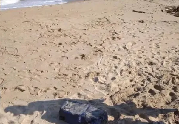 Pacotes com 30 kg de cocaína são encontrados em praias de SC