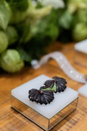 Brinco confeccionado com madeira e ouro, por Emar Batalha Brinco confeccionado com madeira e ouro, por Emar Batalha