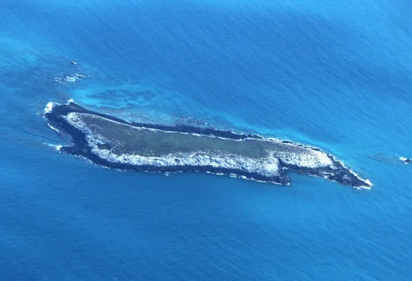 Abrolhos em alerta com a possbilidade de lama de Mariana atingir os corais