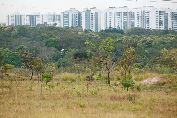 Deputado quer suspender taxação de educadores físicos em parques do DF