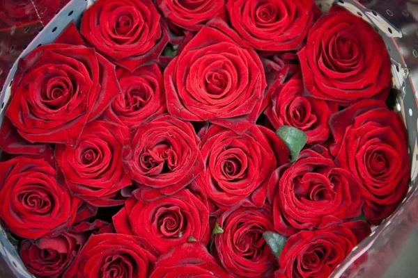 Dia das Mães: preço do buquê de rosas varia até 175% em BH