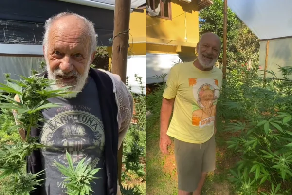 Ex-ator da Globo mostra plantação de maconha: “Dia da colheita”