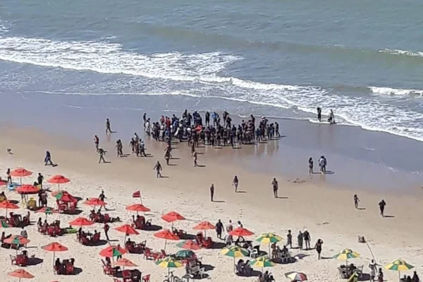 Homem atacado por tubarão em praia do Recife