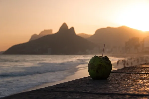 Brasil tem recorde de 6,6 milhões de turistas estrangeiros em 2016