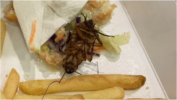Uma jovem conta que o tio foi surpreendido ao encontrar uma barata em meio às batatas fritas