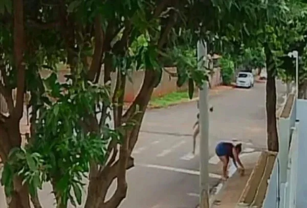 Imagem colorida de mulheres furtando cachorros - Metrópoles