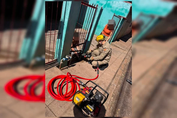 Cachorro é resgatado após ficar com cabeça presa em portão - destaque galeria Cachorro é resgatado após ficar com cabeça presa em portão - destaque galeria