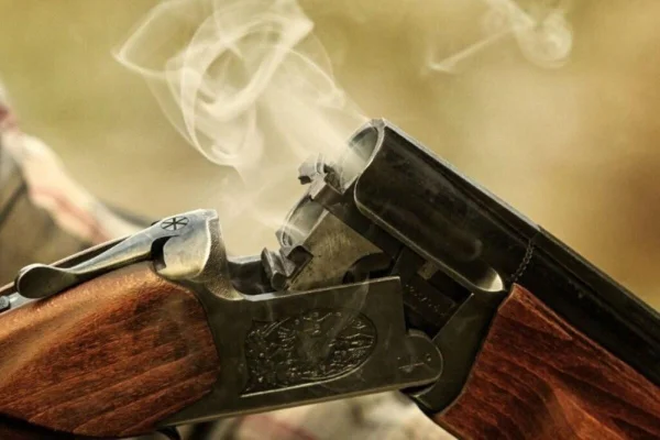 Imagem colorida de arma