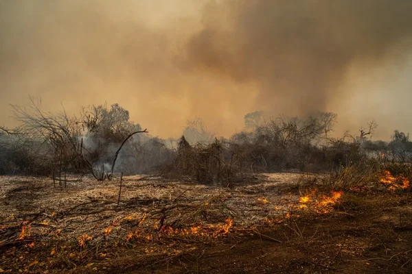 CGU Com focos de incêndio ativos, São José do Rio Preto deve ter novas queimadas. Termômetros podem atingir 37ºC entre segunda e sexta calor - Metrópoles