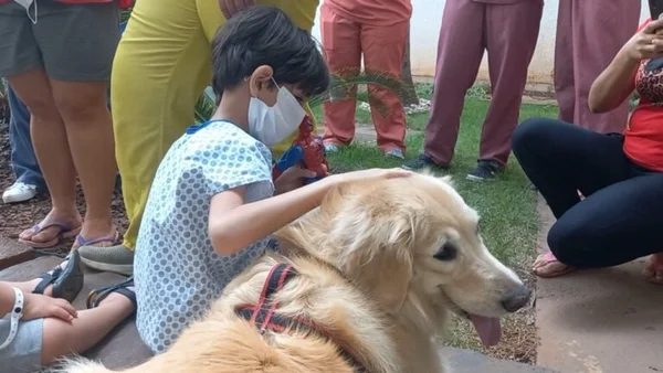 Terapia animal: pacientes recebem visitas de pets em Aparecida (GO) - destaque galeria