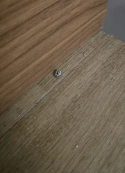 Cantor teria deixado cinzas de cigarro pelo apartamento