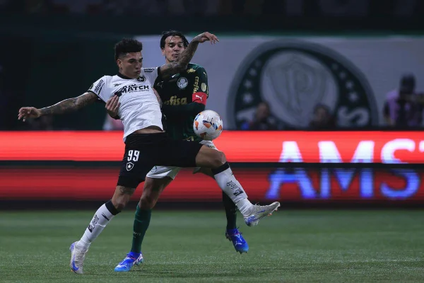 Palmeiras x Botafogo-APOSTAS