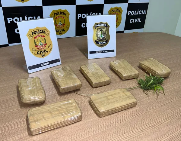 Policiais penais do DF apreendem drogas no valor de 1,5 milhões de reais