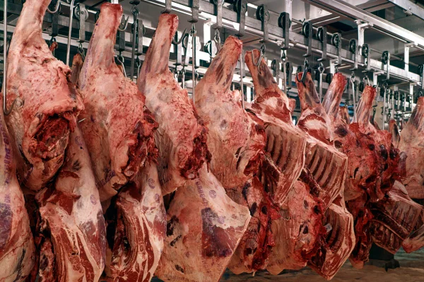 Imagem colorida de carne bovina em frigorífico