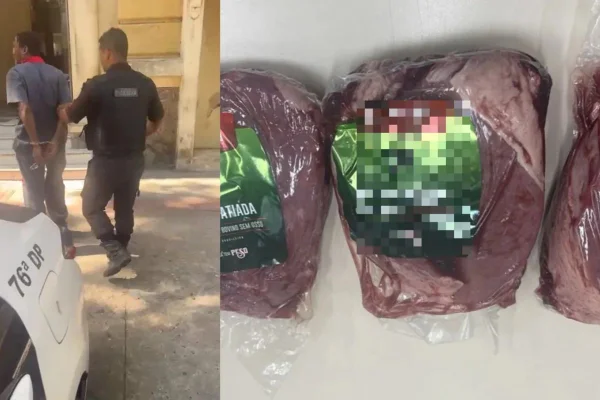 Montagem com fotos coloridas de homem preso e pinha furtada - Metrópoles