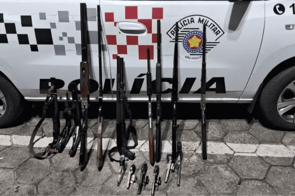 pai e filho denuncia violencia domestica armas interior
