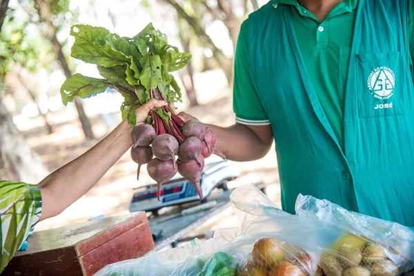 Descubra onde encontrar feiras de hortifrútis no Distrito Federal
