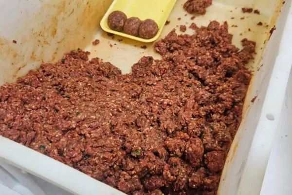 carne apreendida