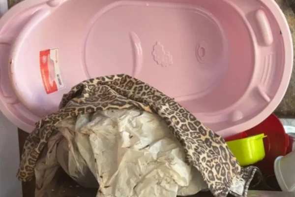Imagem colorida de uma bacia de bebê