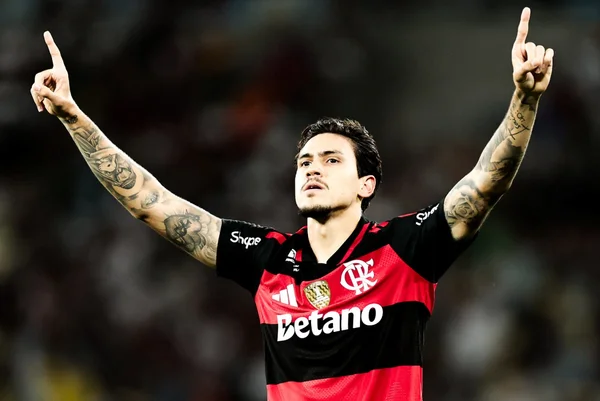 Imagem colorida de Pedro