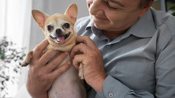 Foto colorida de homem segurando chihuahua