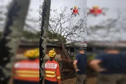 Árvore cai em cima de casa neste domingo na 712 Sul