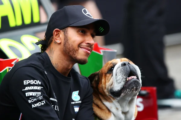Lewis Hamilton ganha quadro de Lego em homenagem ao cão Roscoe. Veja