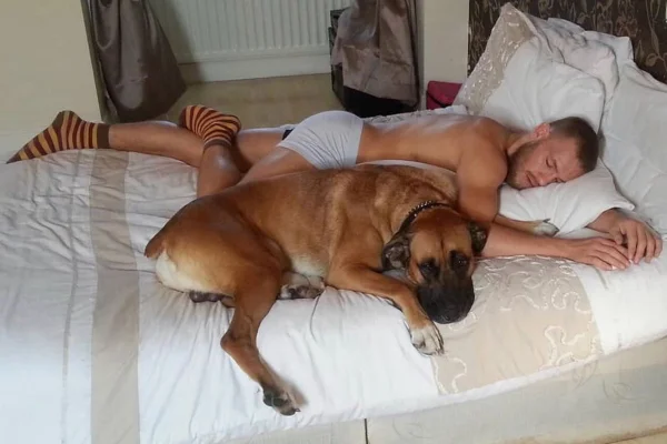 Drama pessoal: McGregor posta homenagem ao seu falecido cachorro, Hugo