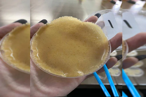 Alunas do DF ganham medalha de prata em prêmio internacional de invenções