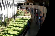 Enade 2019: de 435 mil estudantes inscritos, só 8% se autodeclararam pretos - imagem 4