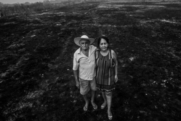 Queimadas no Pantanal: fotógrafos documentam realidade em crônicas visuais