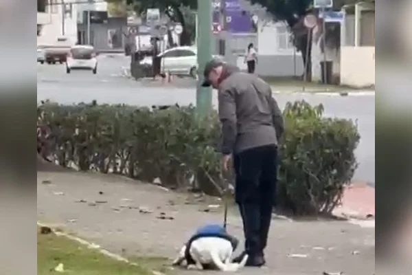 Imagem colorida, Tutor é preso após agredir cachorro com tapas e chutes durante passeio - Metrópoles