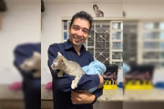 Pablo fez ritual com gatos tigrados, afirmam autoridades