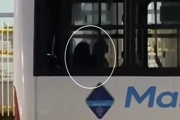 sexo em onibus
