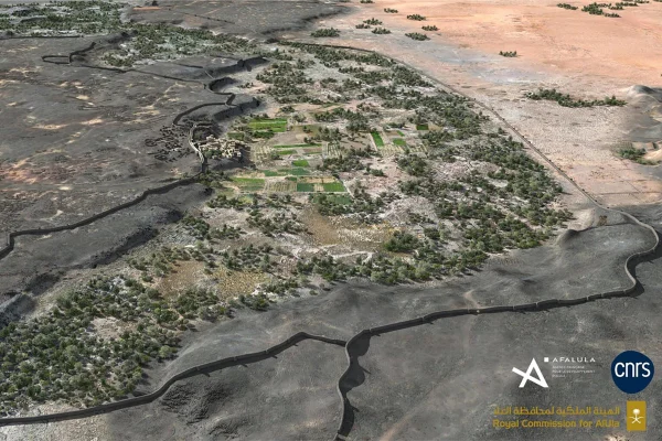 Imagem de um região de bioma florestal, cercada por deserto, um oásis - Metrópoles