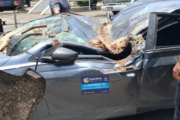 Corpo de Bombeiros recebeu mais de 500 chamados para queda de árvores. Carros, ônibus e vias ficaram bloqueados após a ventania - Metrópoles