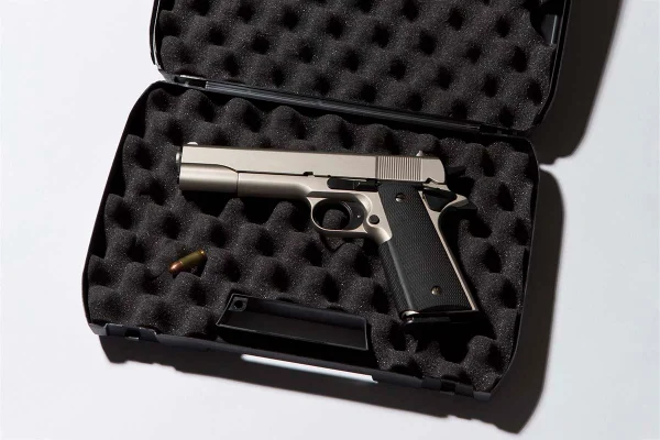 Anuário: licenças para arma crescem 474% na gestão Bolsonaro