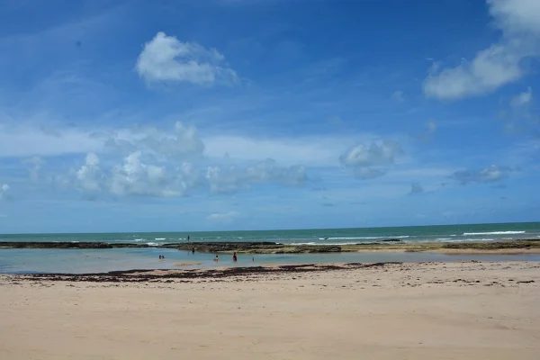 Imagem colorida de praia em Pernambuco - Metrópoles