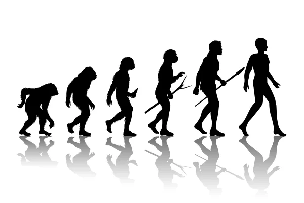 Corpo humano: uma colcha de retalhos de concessões evolutivas