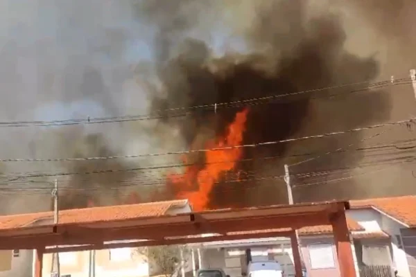 Chamas que atingiram canavial próximo a incêndio em São Carlos. - Metrópoles