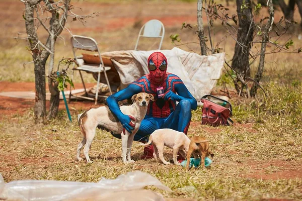 Na foto, uma homem vestido de Homem-Aranha segurando uma cadela de pelagem branca e marrom e com dois filhotes no mato - Metrópoles