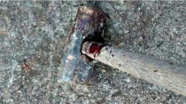 Cachorrinha é morta com marretadas na cabeça após homem pedir para ‘dar um jeito’ nela no Sul de Minas